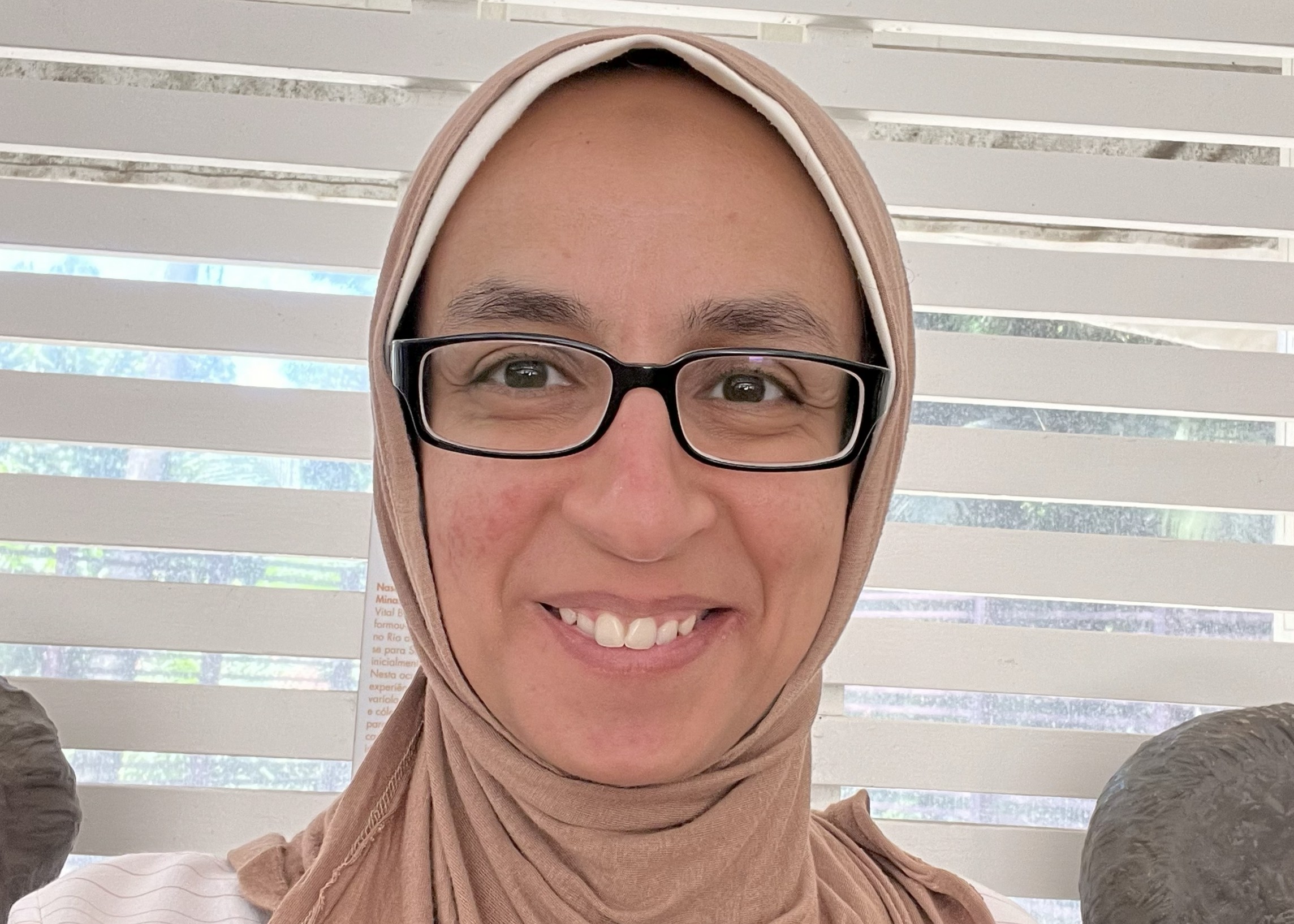 Alaa Abouelfetouh