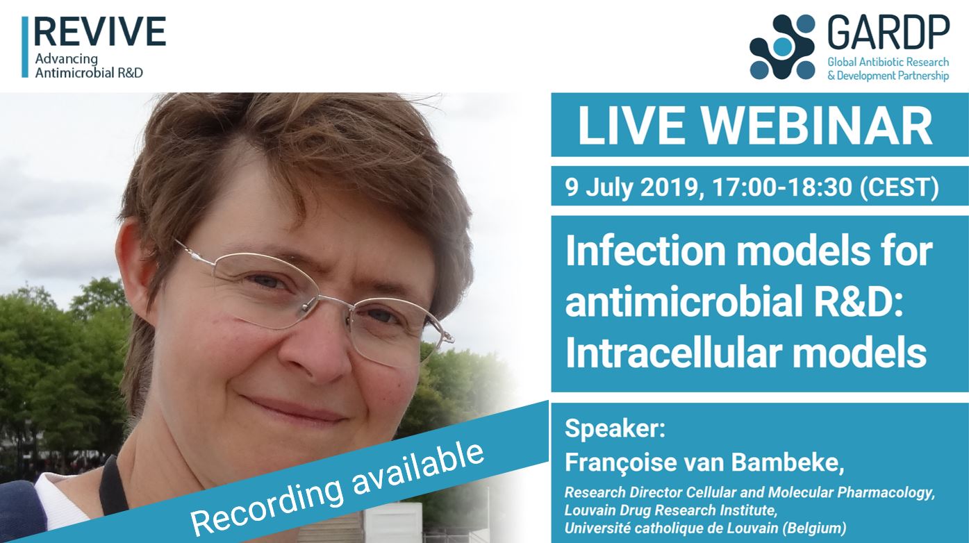 Infection models for antimicrobial R&D: Intracellular models