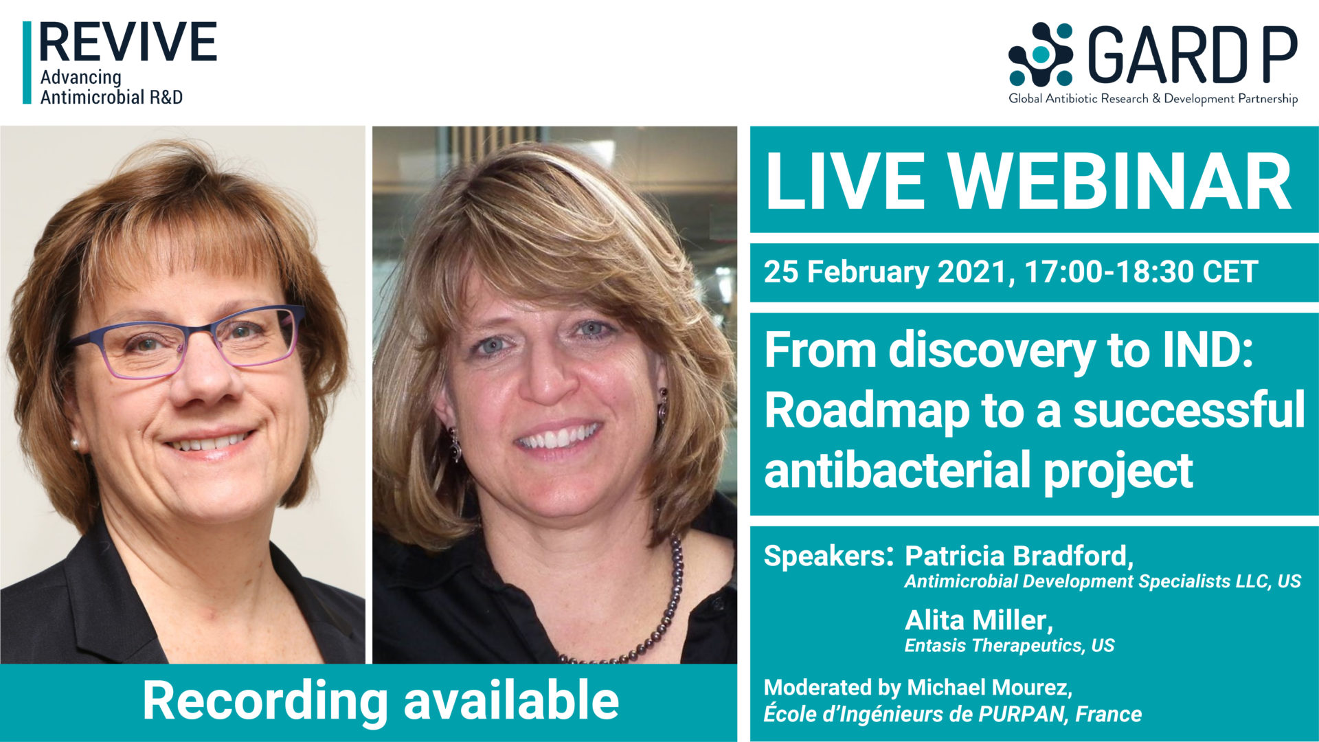 From discovery to IND: Roadmap to a successful antibacterial project