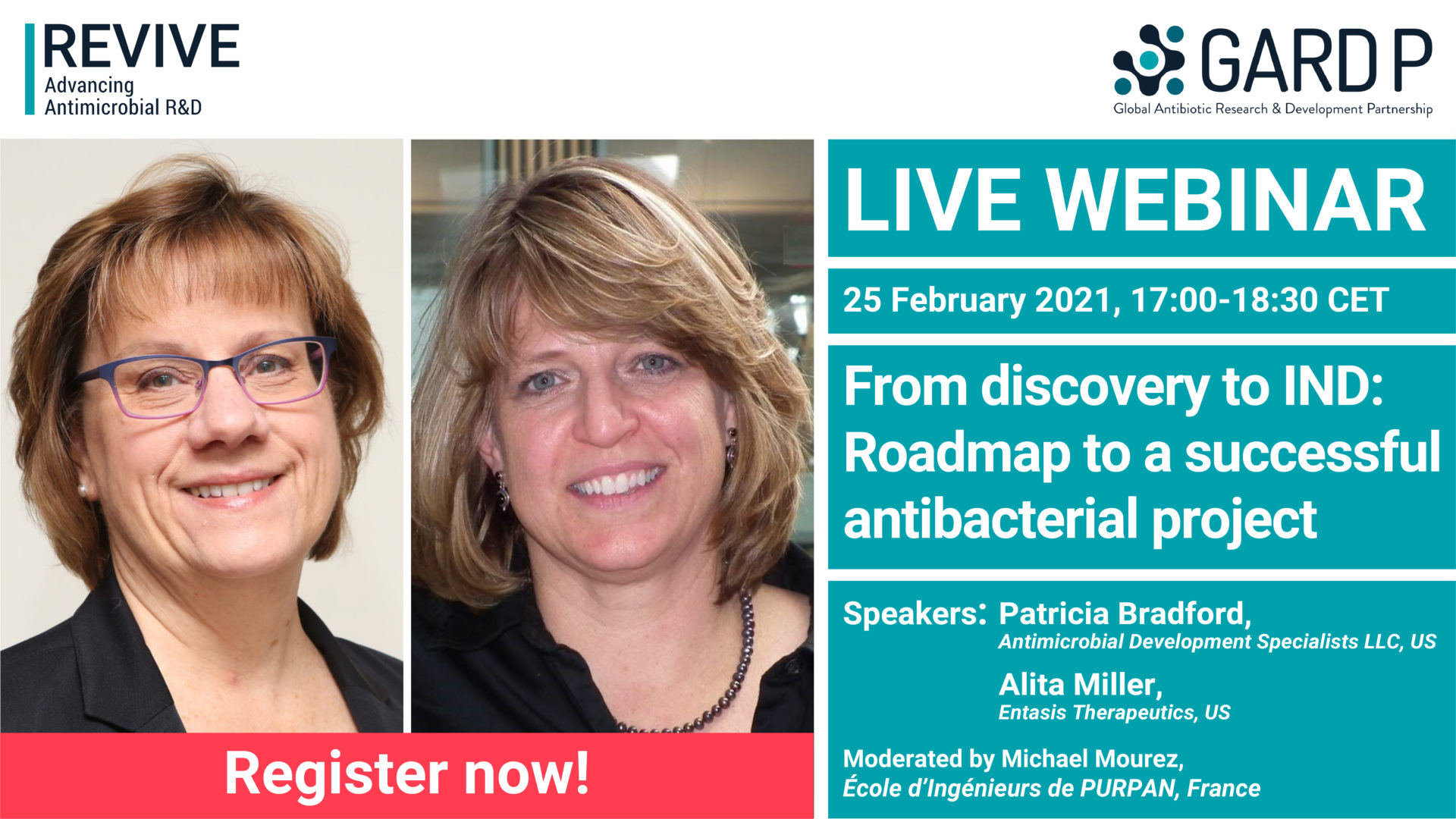 From discovery to IND: Roadmap to a successful antibacterial project